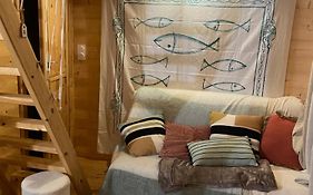 Maison En Bois 1 Chambre 4 Couchages Type Tiny House